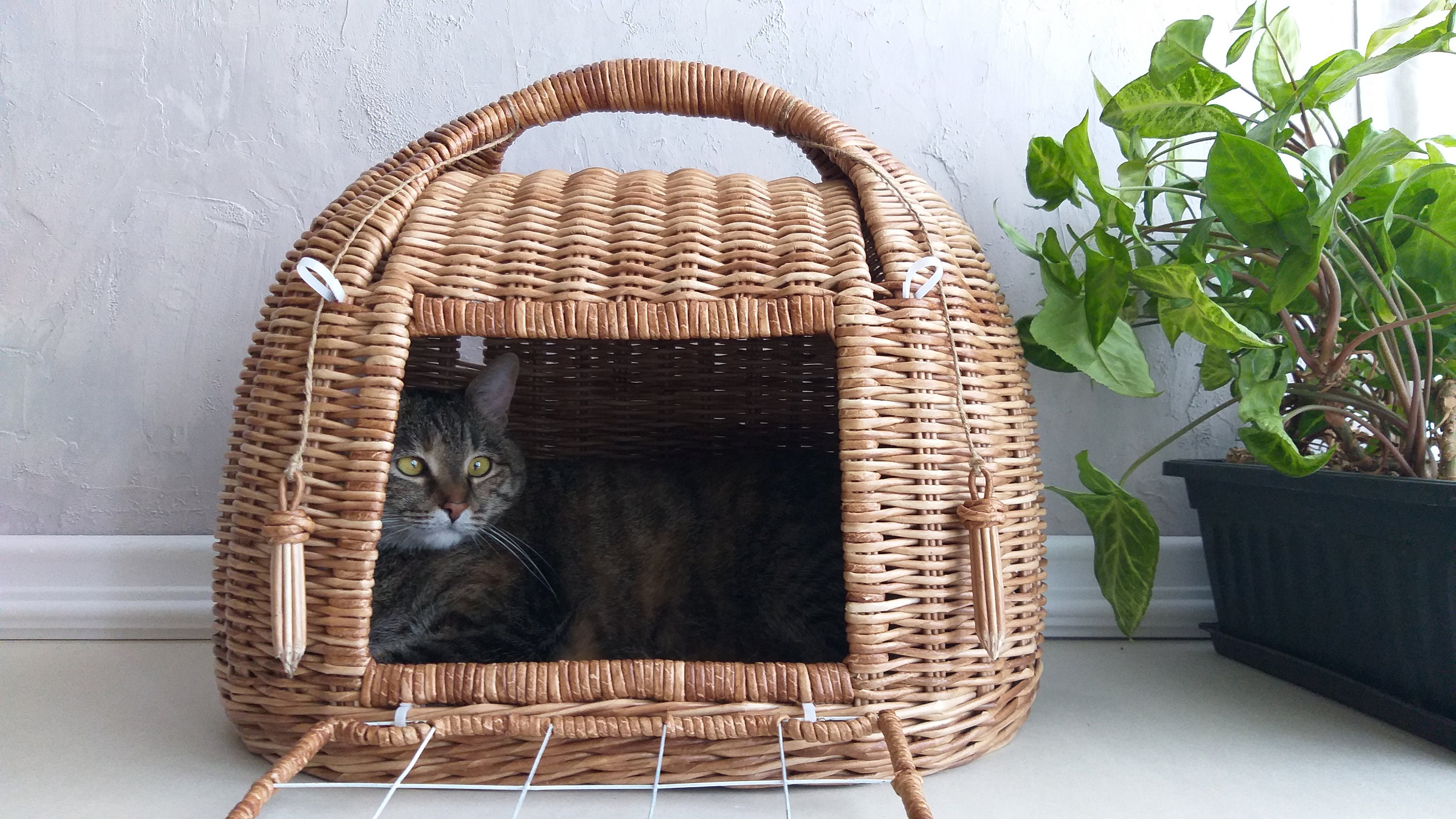 Cat carrier bed. Wicker pet basket. Etsy