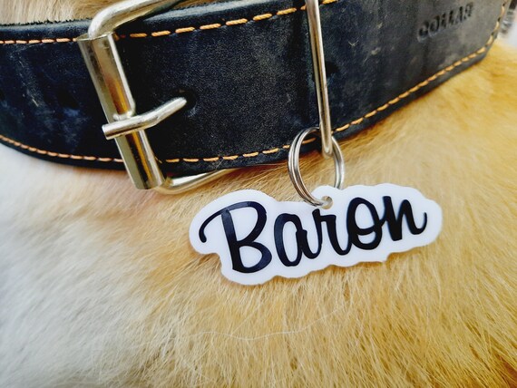 best small indoor family dog