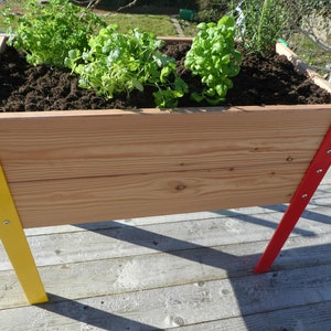 May include: A wooden raised garden bed with yellow and red painted legs. The bed is filled with soil and has green plants growing in it.