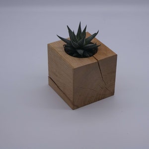 Pflanzwürfel Cube