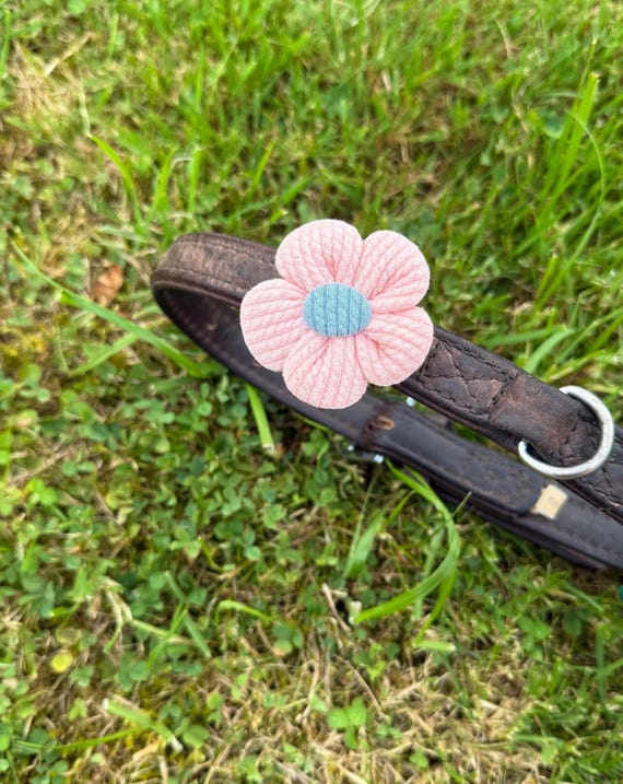 Handgemachte Blumen Haustier Halsband Zubehr | Haustier Bogen Alternative  - Etsy.de