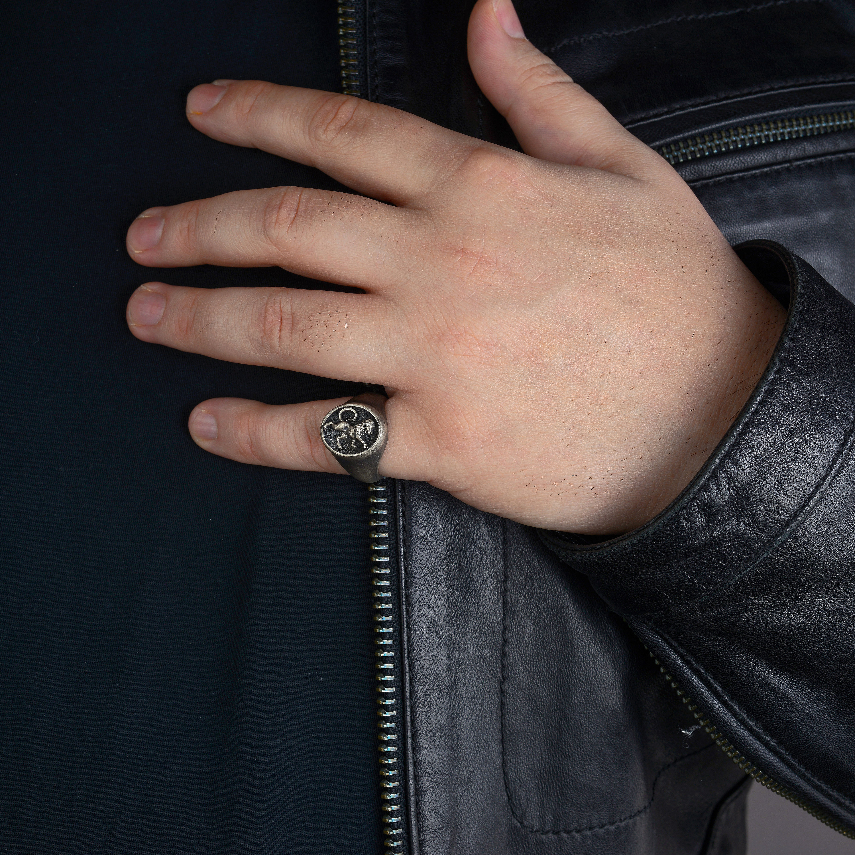 Sterling Silver Lion Head Ring: Oxidized Biker Signet Ring - Etsy 日本