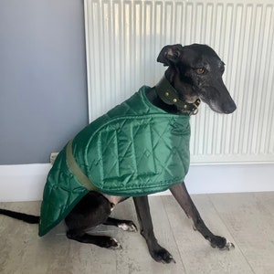 Whippet coat ,medium, waterproof, fleece lined.