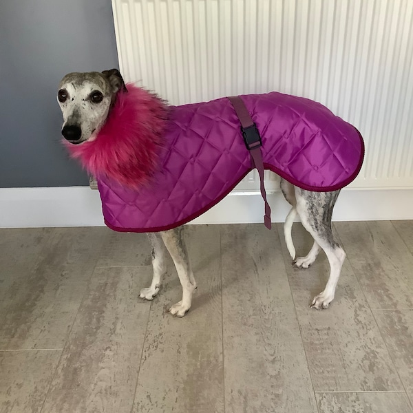 Whippet coat , medium  ,fleece lined ,quilted ,water resistant ,pink !