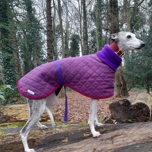 whippet coat ,whippet jacket ,medium,fleece lined ,herringbone, tweed.