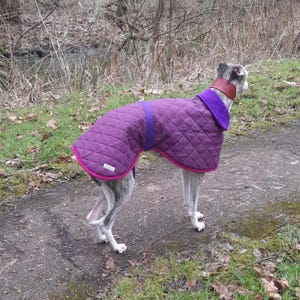 whippet coat ,whippet jacket ,medium,fleece lined ,heather coloured,  wool outerwear ,dog coat.