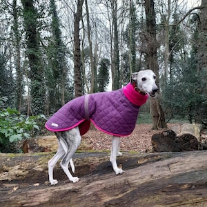 whippet coat ,whippet jacket ,medium,fleece lined ,heather coloured,  wool outerwear ,dog coat.