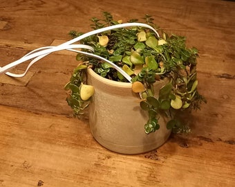 Handmade hanging pot