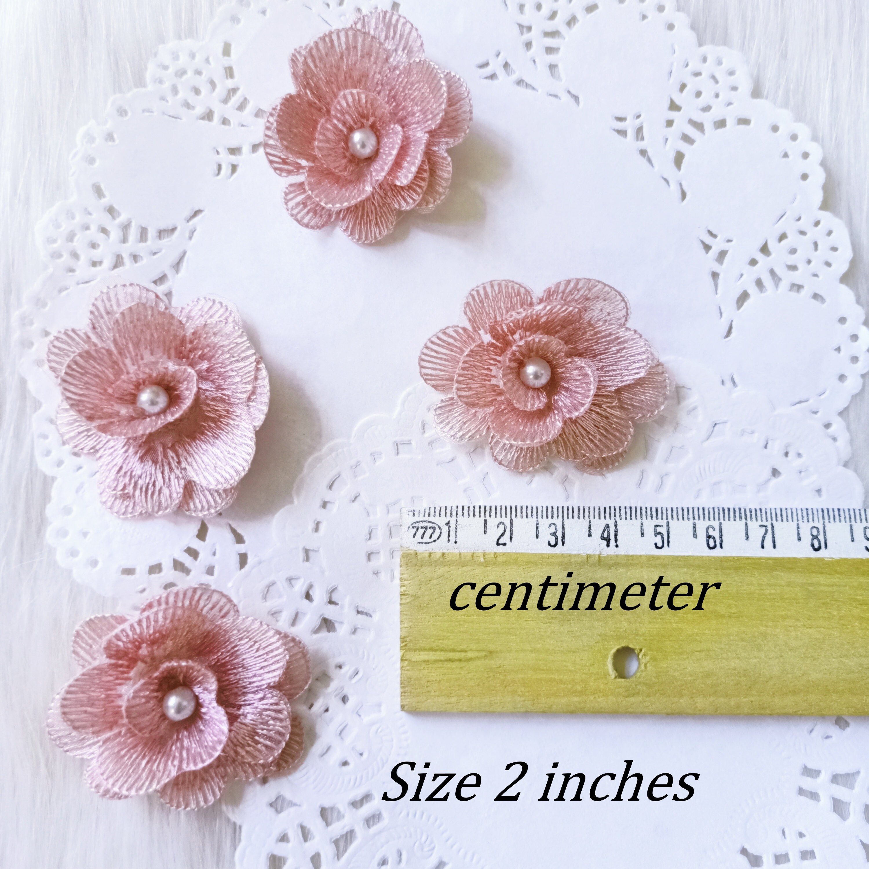 Dusty Rose Embroidered 2pcs