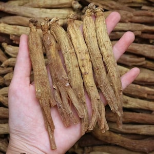 250g (About 18pcs) China Chang Bai Mountain Red Ginseng Root, Hong Shen