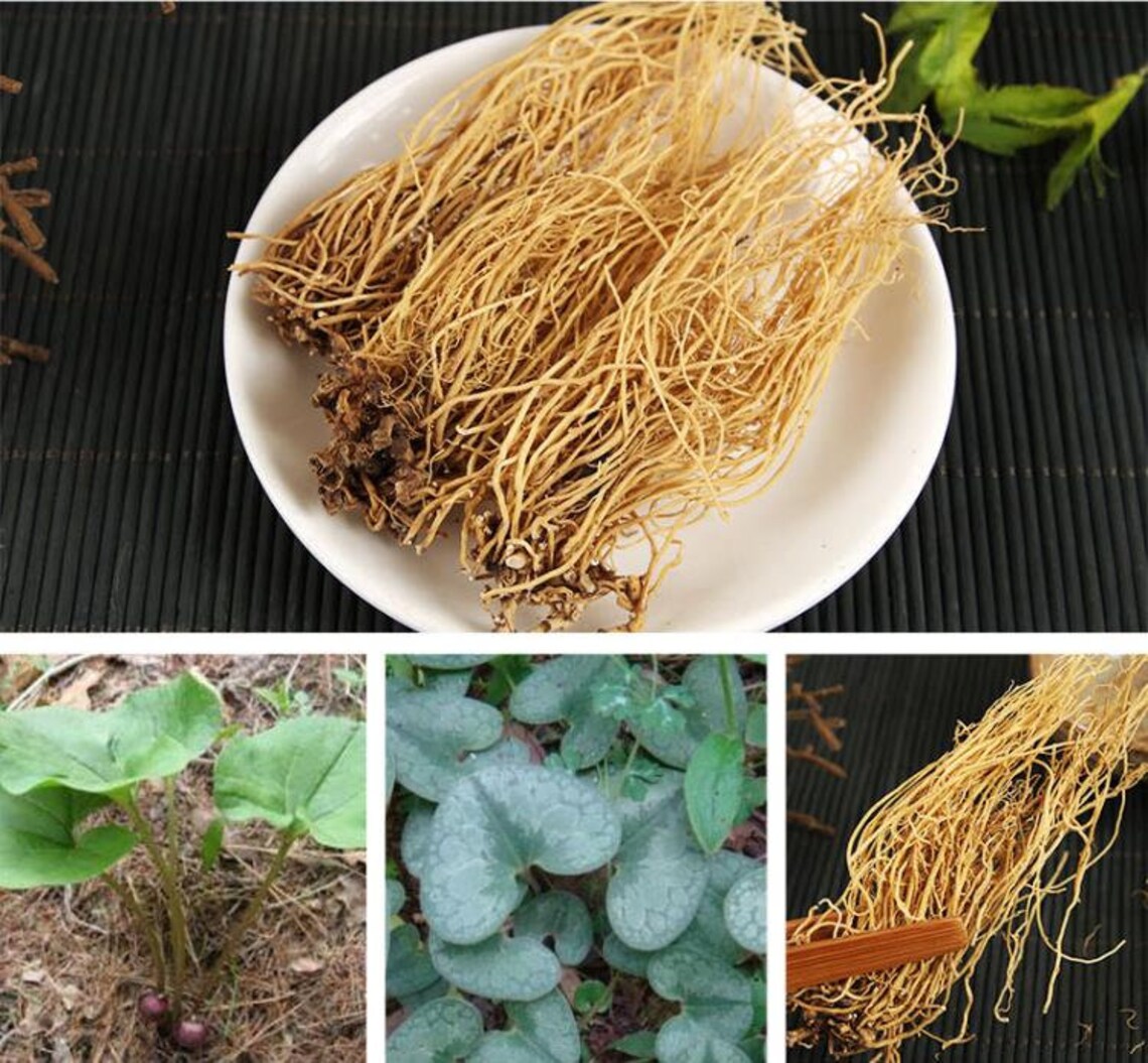 100 Natural Xi Xin Chinese Herb Wildginger Medicinal Chinese Herbs