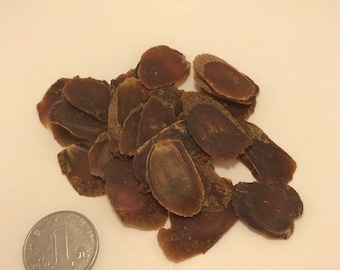 200g Panax Red Ginseng Root Slice 8 Year Old, Red Ginseng Root