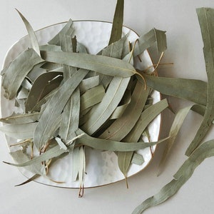 500g getrocknetes Eukalyptusblatt