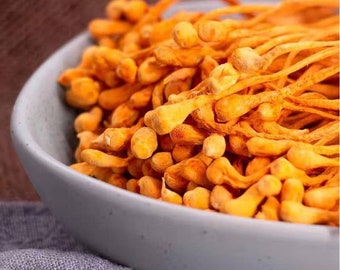 高品質の冬虫夏草花 ジンチョンカオ、冬虫夏草 1.1LB