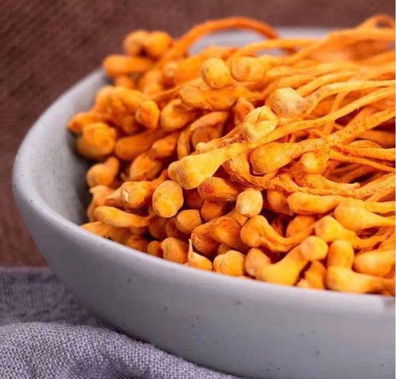 Cordyceps flower deals