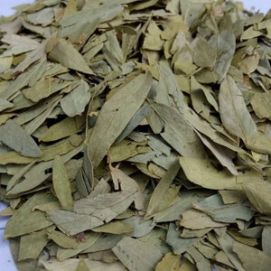 Dried Senna Leaves Tea 250g Senna Alexandrina