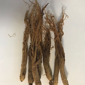 Six Years Old Panax Red Ginseng Whole Roots 100g About 7 Roots