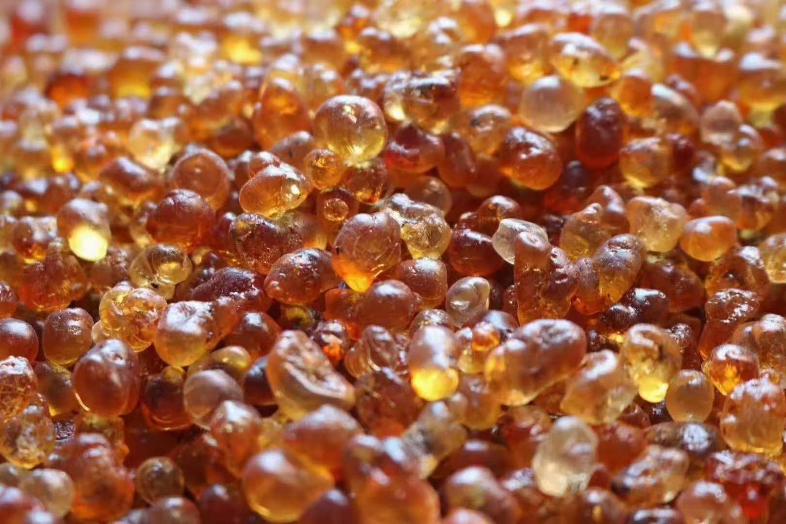 500g Dried Wild Peach Resin, Peach Gum Etsy