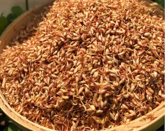 Organic Aiyu Jelly Seed Ai Yu Zi Ai Yu Jelly