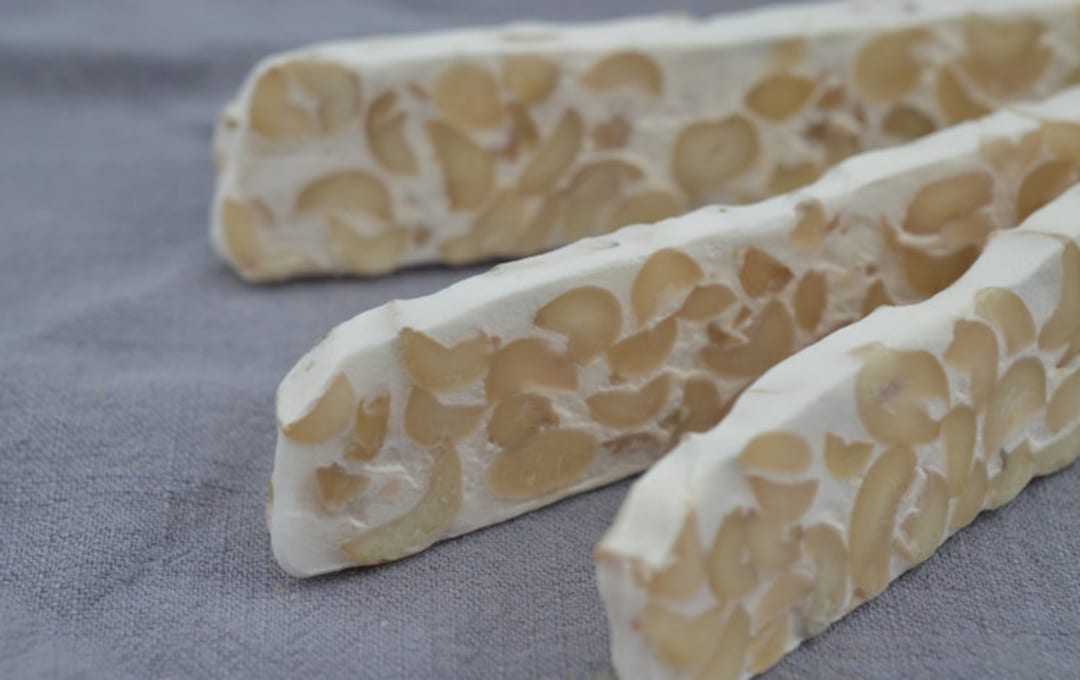 Tempeh Starter Powder 30g Etsy