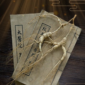 15g/個 乾燥野生人参全根、15年人参