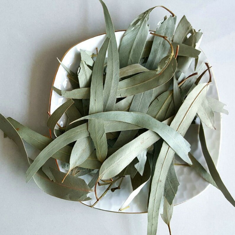 500g Dried Eucalyptus Leaf Etsy