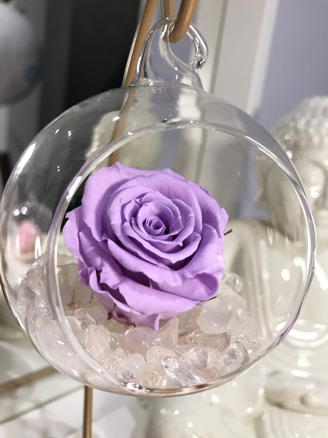 Long lasting rose forever rose in hanging stand with crystal Etsy