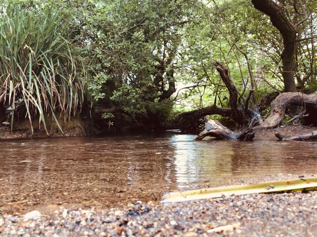 Calm Cornish Current Etsy