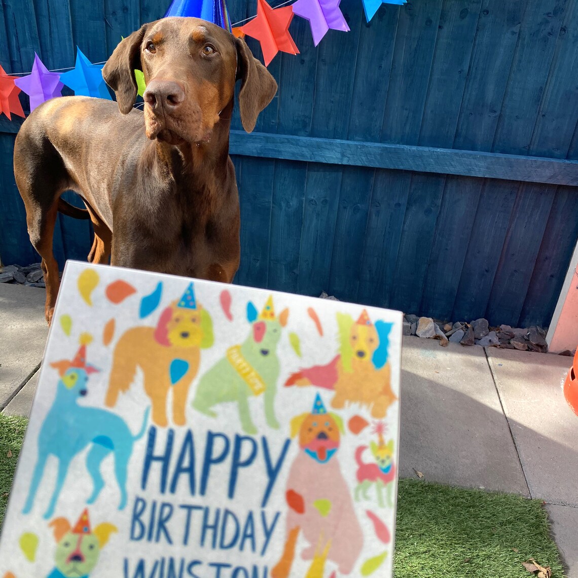 Personalised Edible Dog Card Happy Birthday Etsy