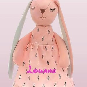 Personalized rabbit plush toy