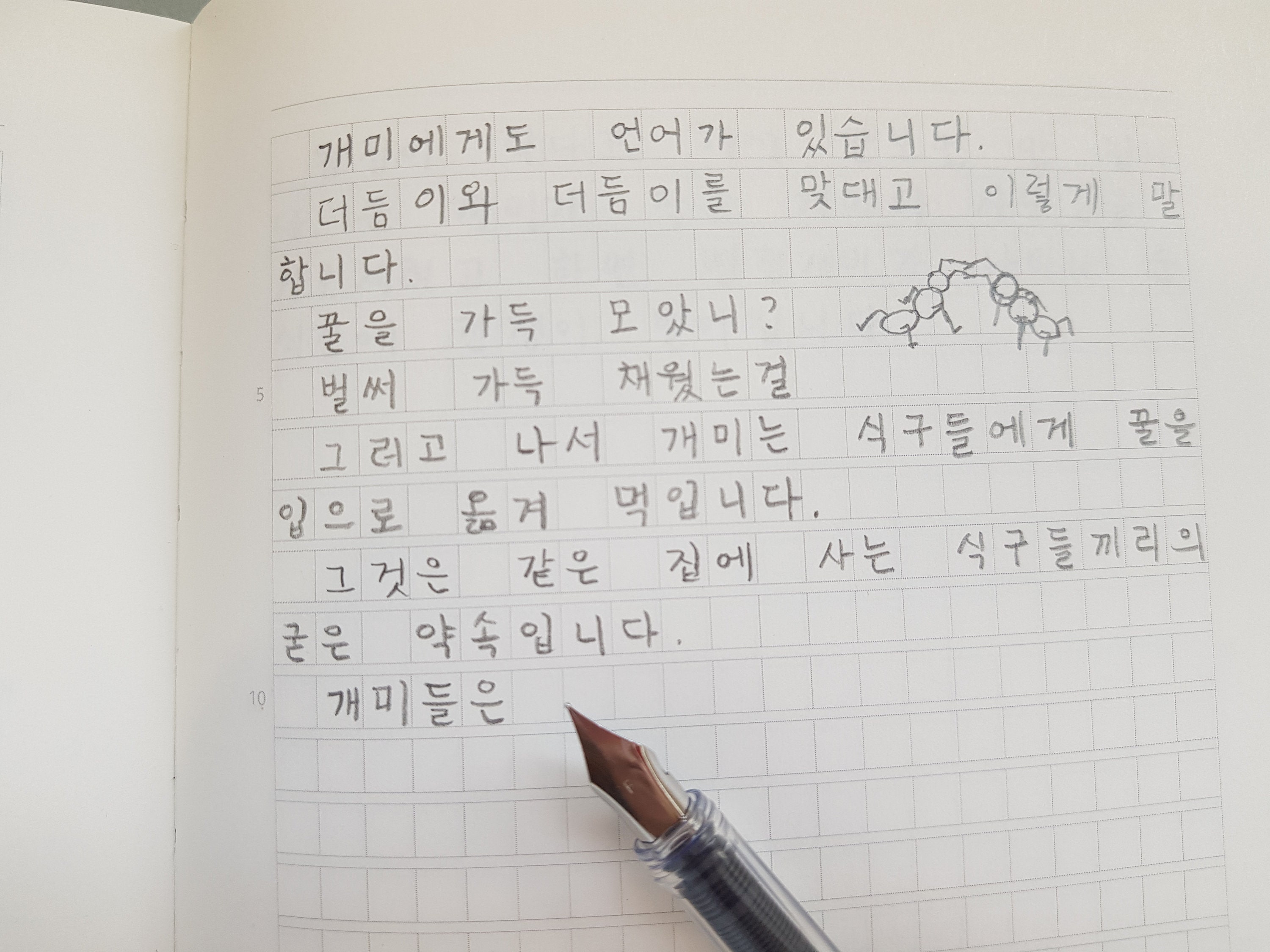 essay word in korean