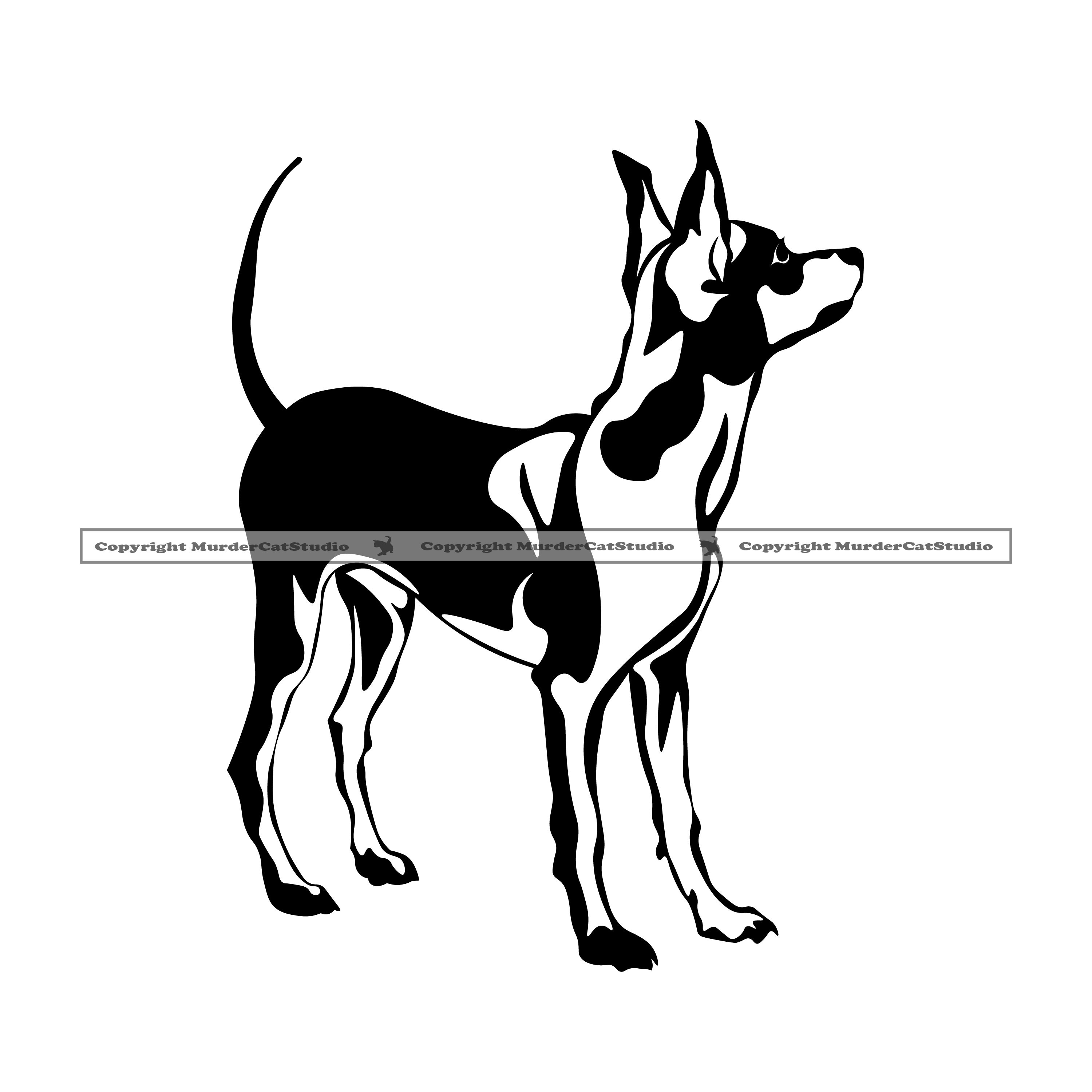 Chihuahua Ganzkörper 6 Hund K9 Hunde welpe Hund Hunderasse Etsy