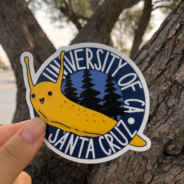 Santa Cruz Stickers - Etsy