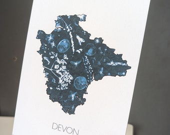 DEVON | cyanotype/ illustration print