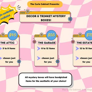 Vintage Mystery Boxes - You Pick the Aesthetic!