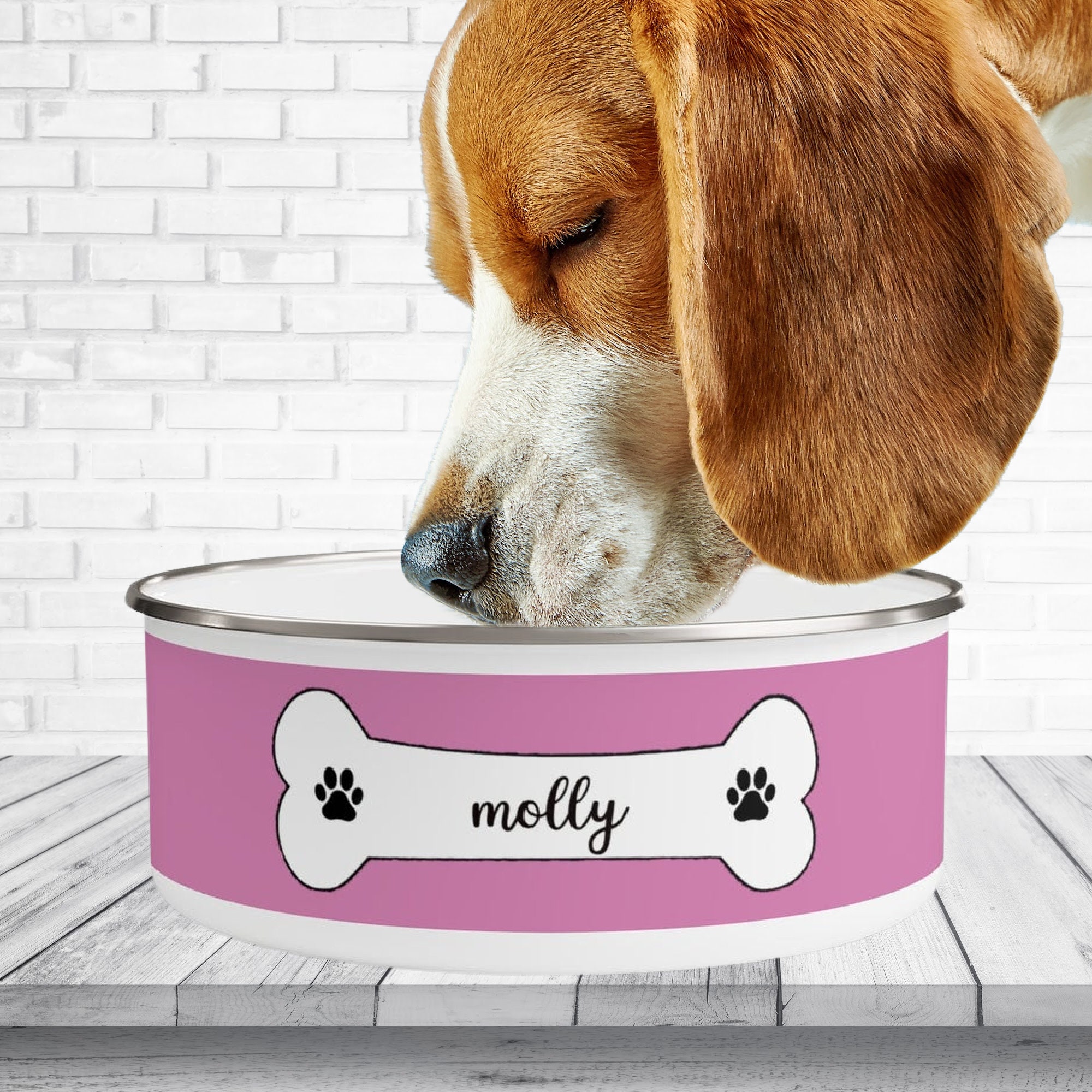 Custom Dog Bowl Dog Bowl with Name Enamel Dog Bowl Etsy