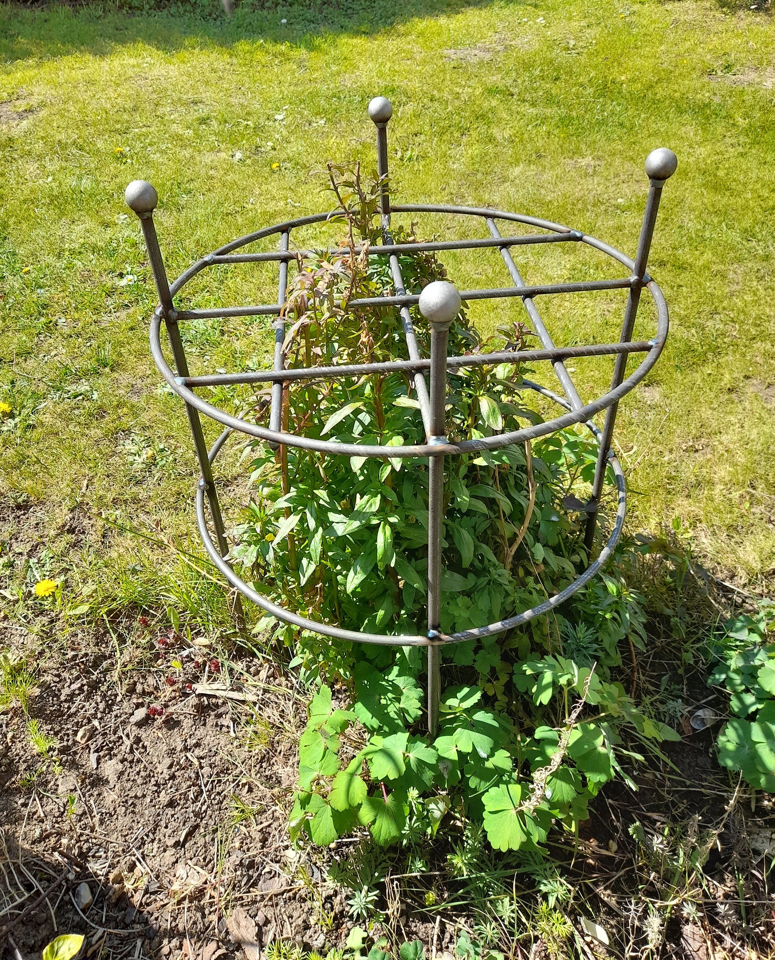 Heavy Duty Grow Through Plant Supportsherbaceous Etsy