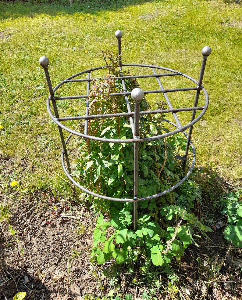 Heavy duty Grow through Plant SupportsHerbaceous Etsy