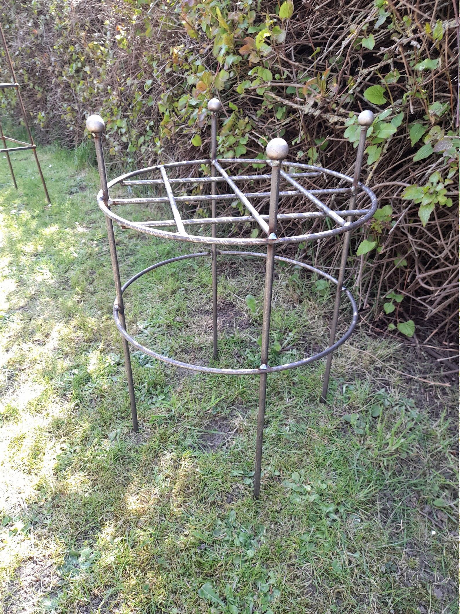 Heavy duty Grow through Plant SupportsHerbaceous Etsy