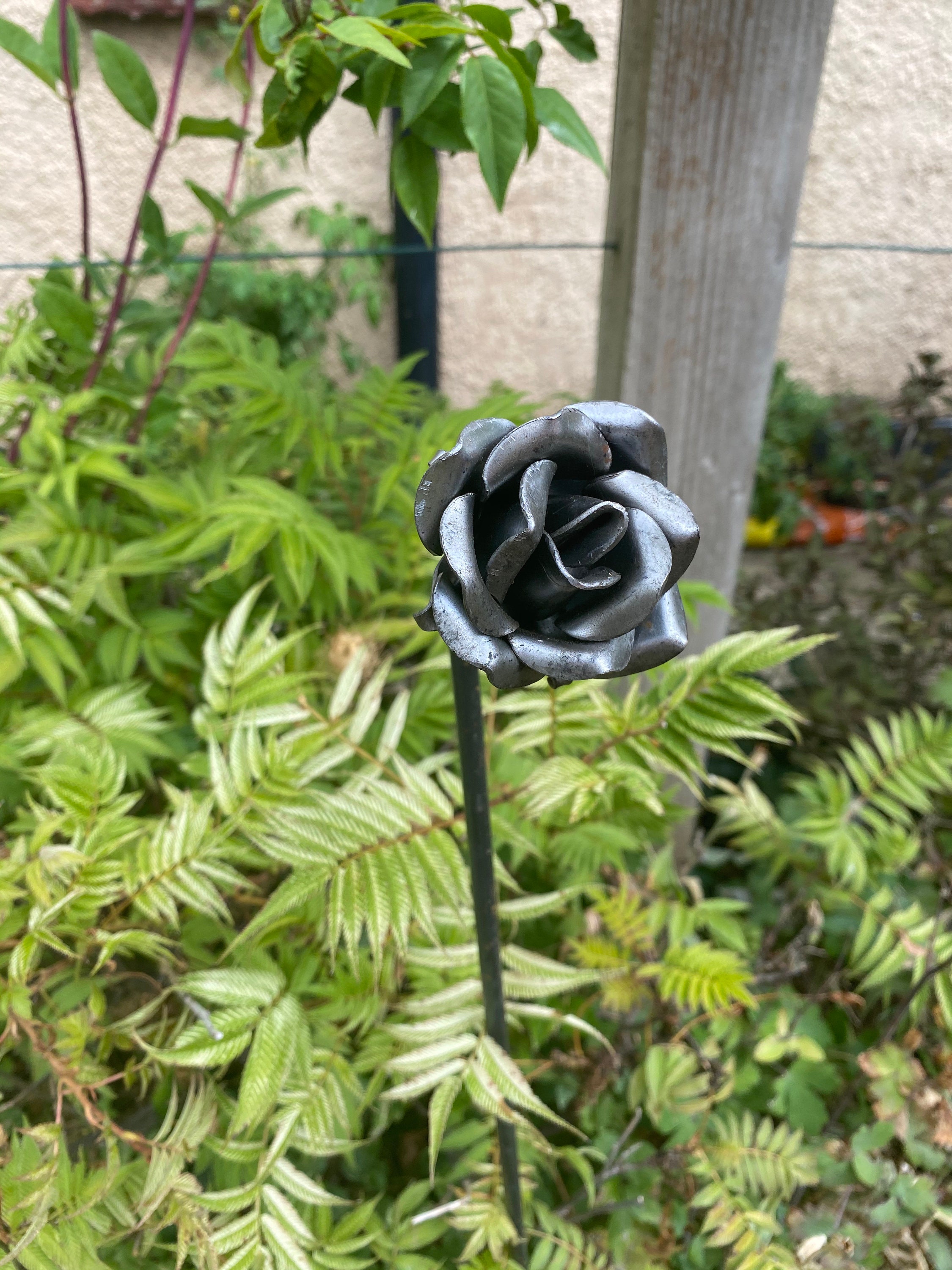 Rose Plant Support Plant Stake Traditional Gardening Etsy UK