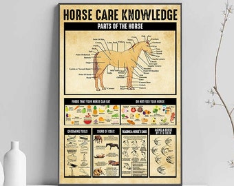 Horse Care Knowledge Wall Art Poster No Frame, Knowledge Poster, Horse Decor, Vintage Wall Art, Home Decor, Horse Lovers Gift