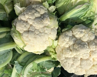 USA SELLER Snowball Self Blanching Cauliflower 100 seeds HEIRLOOM Brassica oleracea