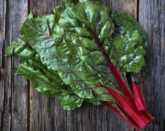 USA SELLER Ruby Red Chard 50 seeds HEIRLOOM Beta vulgaris subsp