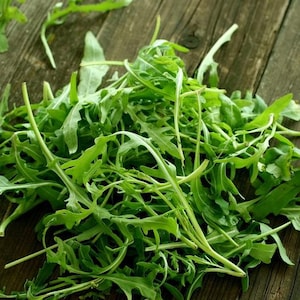 Arugula, Roquette (Eruca vesicaria sativa) - 200 Seeds - Southern