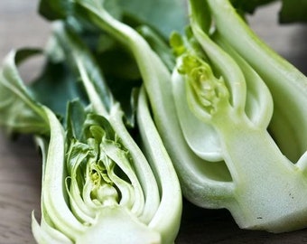 USA SELLER Pak Choy White Stem Chinese Cabbage200 seeds HEIRLOOM Brassica rapa subsp. chinensis