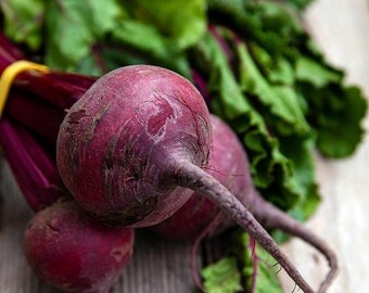 USA SELLER Detroit Dark Red Beet 50 seeds HEIRLOOM Beta vulgaris subsp. vulgaris