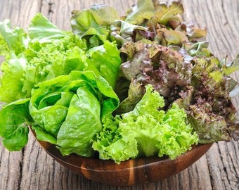 USA SELLER Mesclun Mix Lettuce  500 seeds HEIRLOOM (Lactuca sativa)