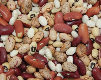 USA SELLER Soup Bean Blend seeds HEIRLOOM Phaseolus vulgaris Grow a Soup Garden