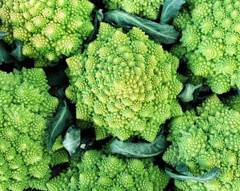 USA SELLER Romanesco Cauliflower 100 seeds HEIRLOOM Brassica oleracea