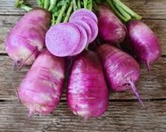 USA SELLER Triton Purple Daikon Radish 50 seeds HEIRLOOM Raphanus sativus